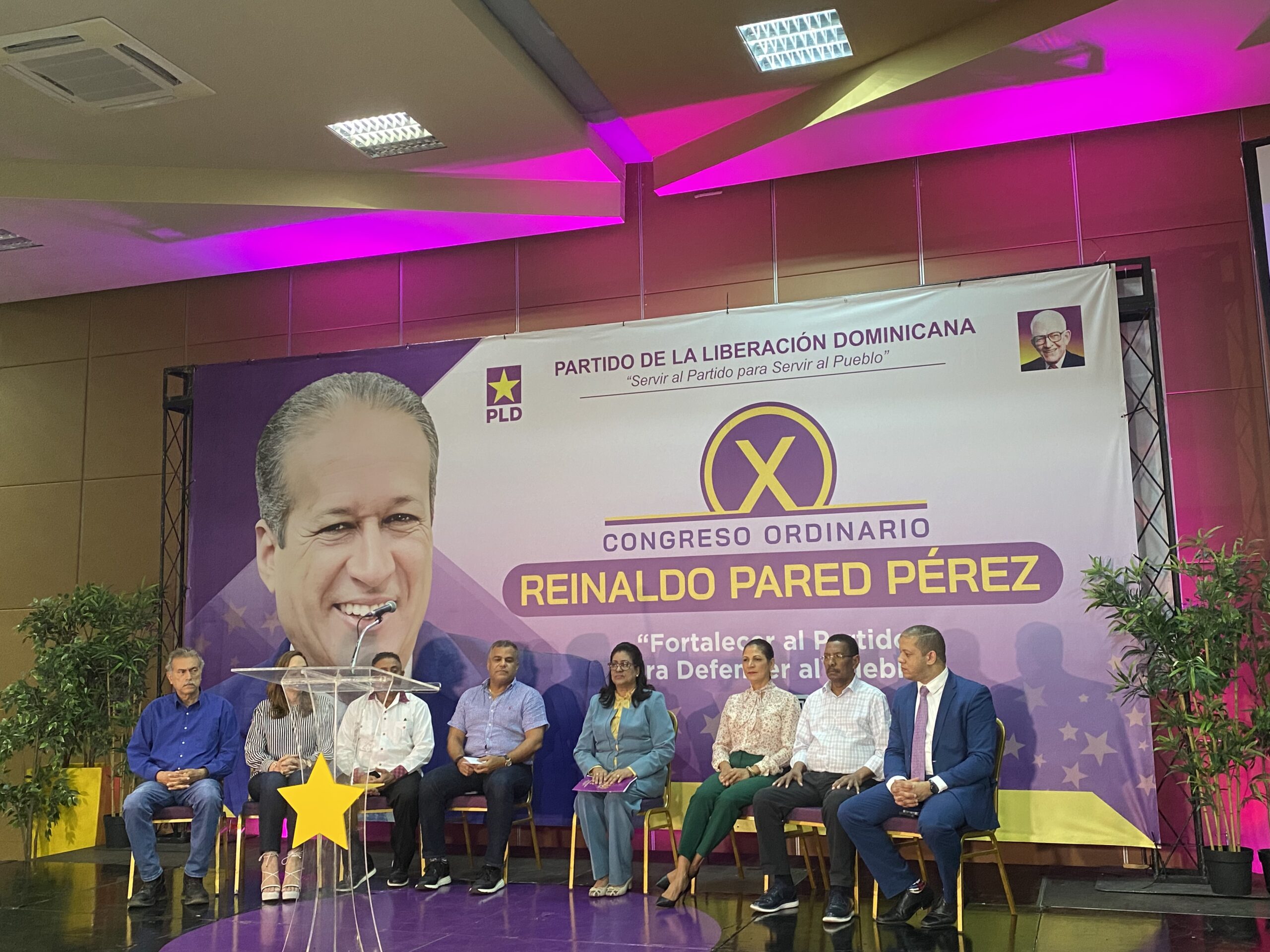 PLD escogerá este domingo al presidente del partido