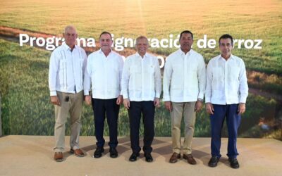Banreservas destina RD$12,000 millones para financiar producción de arroz 2026-2027
