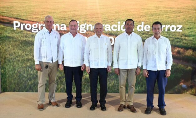 Banreservas destina RD$12,000 millones para financiar producción de arroz 2026-2027