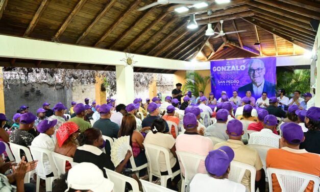 Proyecto presidencial de Gonzalo Castillo realiza masivos encuentros durante este fin de semana. 