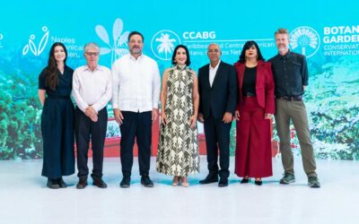 Ministerio de Salud y Sanar una Nación firman acuerdo para fortalecer la atención materno-infantil