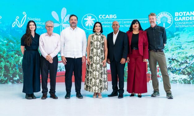 Ministerio de Salud y Sanar una Nación firman acuerdo para fortalecer la atención materno-infantil